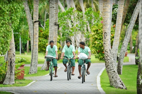 Ogród Sun Island Malediwy