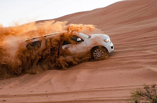 Safari