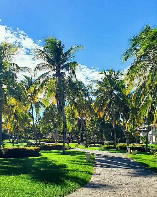 Ogród Paradisus Rio de Oro