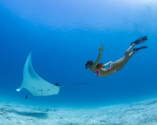Diving Diving