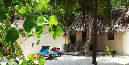 Przykadowy bungalow w ogrodzie