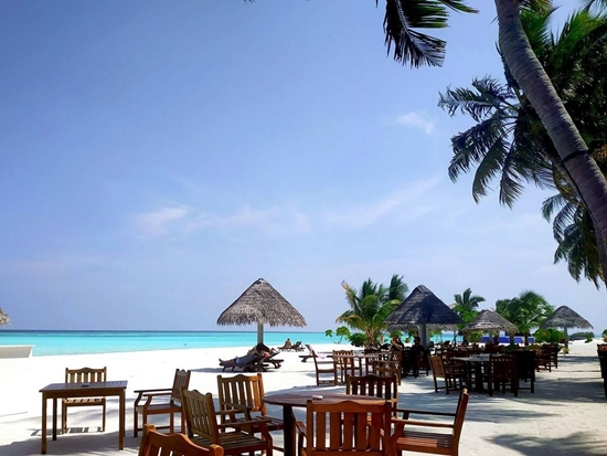 Bar przy play Sun Island