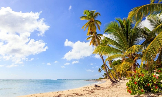 Wybrzee Punta Cana