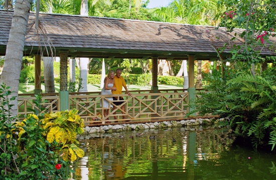 Iberostar Bavaro 